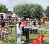 IMG_1918-k