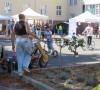 IMG_1518b