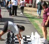 IMG_1638b